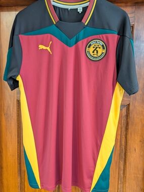 Puma Burgundy, Yellow & Teal Athletic Jersey